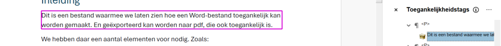Screenshot van een getagde paragraaf in Adobe Acrobat.